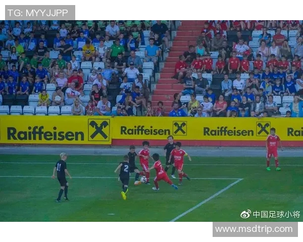 奥地利与俄罗斯精彩对决全场录像回放及精彩瞬间分析